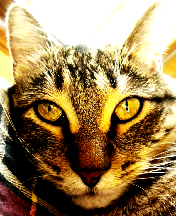 digital-photography-formal-balance