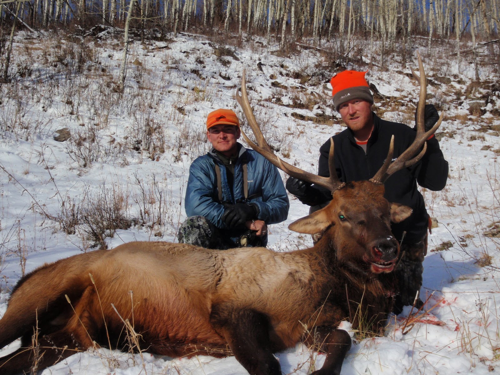 Jay Scott Outdoors Colorado 2nd Rifle Season