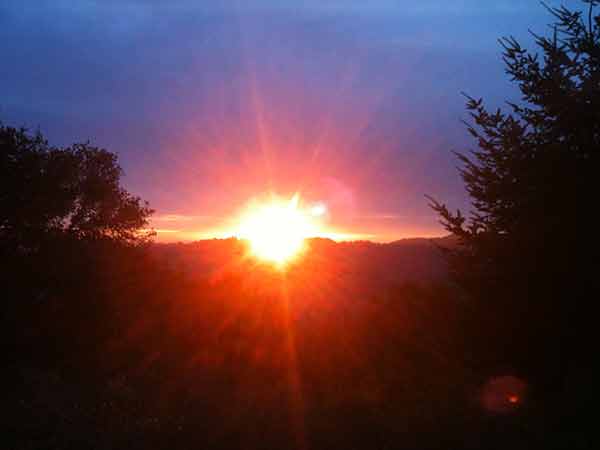 [IMG_0109-lo-res.jpg]