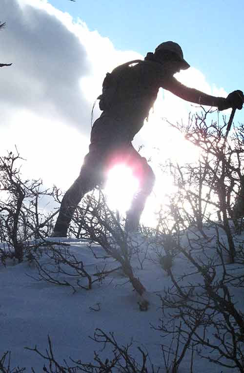 [IMG_0528-lo-res.jpg]