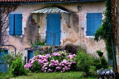 [FranceBlueDoorPinkFlowers2Jl09.jpg]