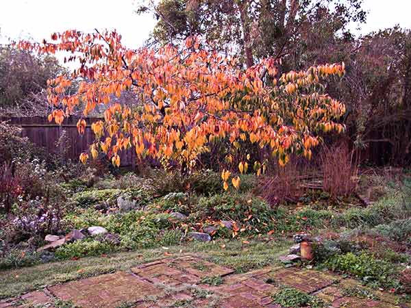 [IMG_8102-lo-res.jpg]