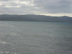 More from Annotto Bay St Mary