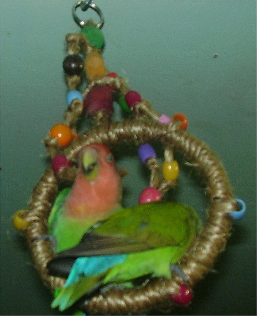 Creative and Unique Handcrafted Bird Toys DIY Bird Toys One Creation