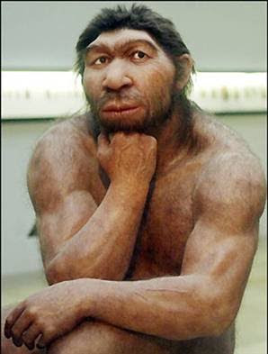 neanderthal.jpg