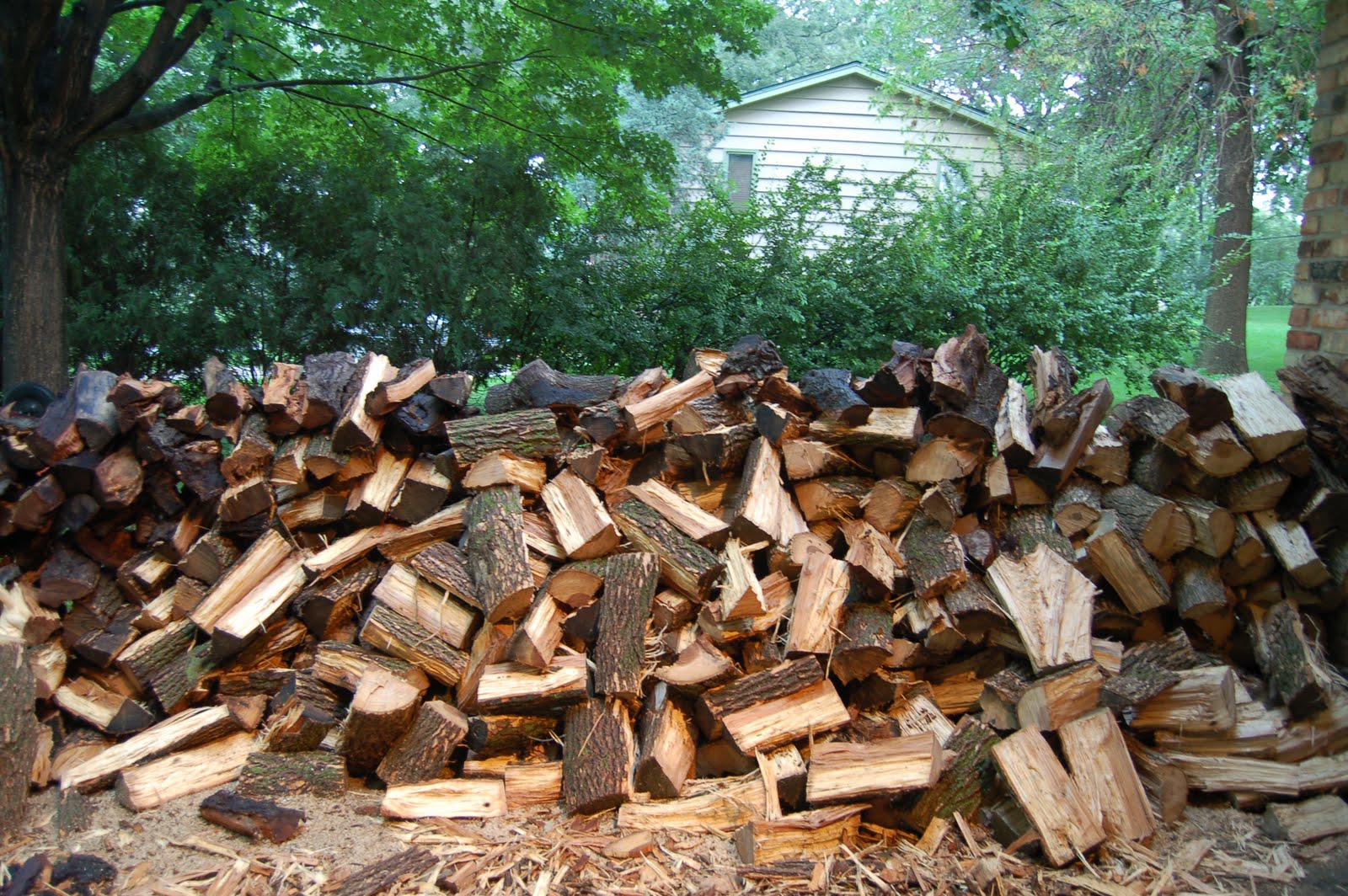Savoring Servant: Wood splitting