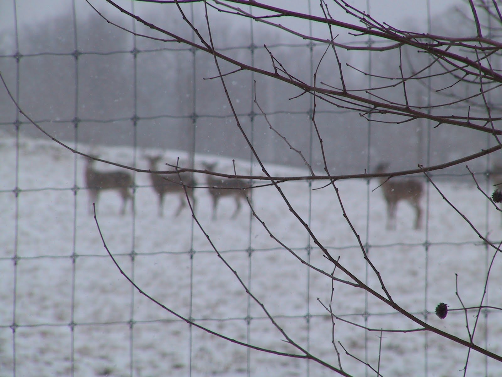 Gehrig Sporting Clays Janesville Wisconsin Photo Gallery