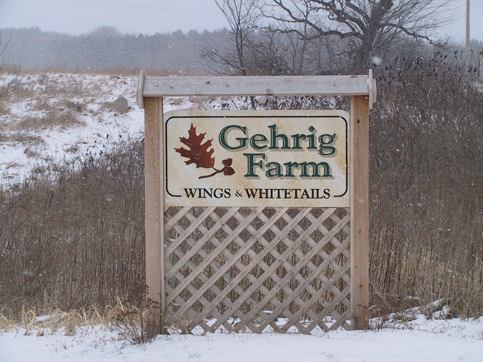 Gehrig Sporting Clays Janesville Wisconsin Photo Gallery