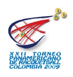 [panamerican09-logo_1158_large.gif]