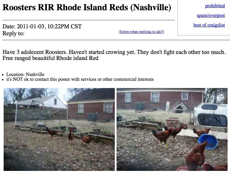 new2nashville: Nashville Craigslist new2nashville: Nashville Craigslist