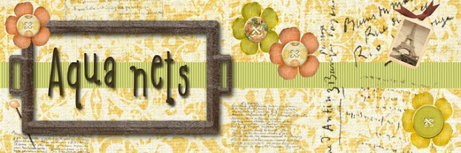 All about the Aquanets