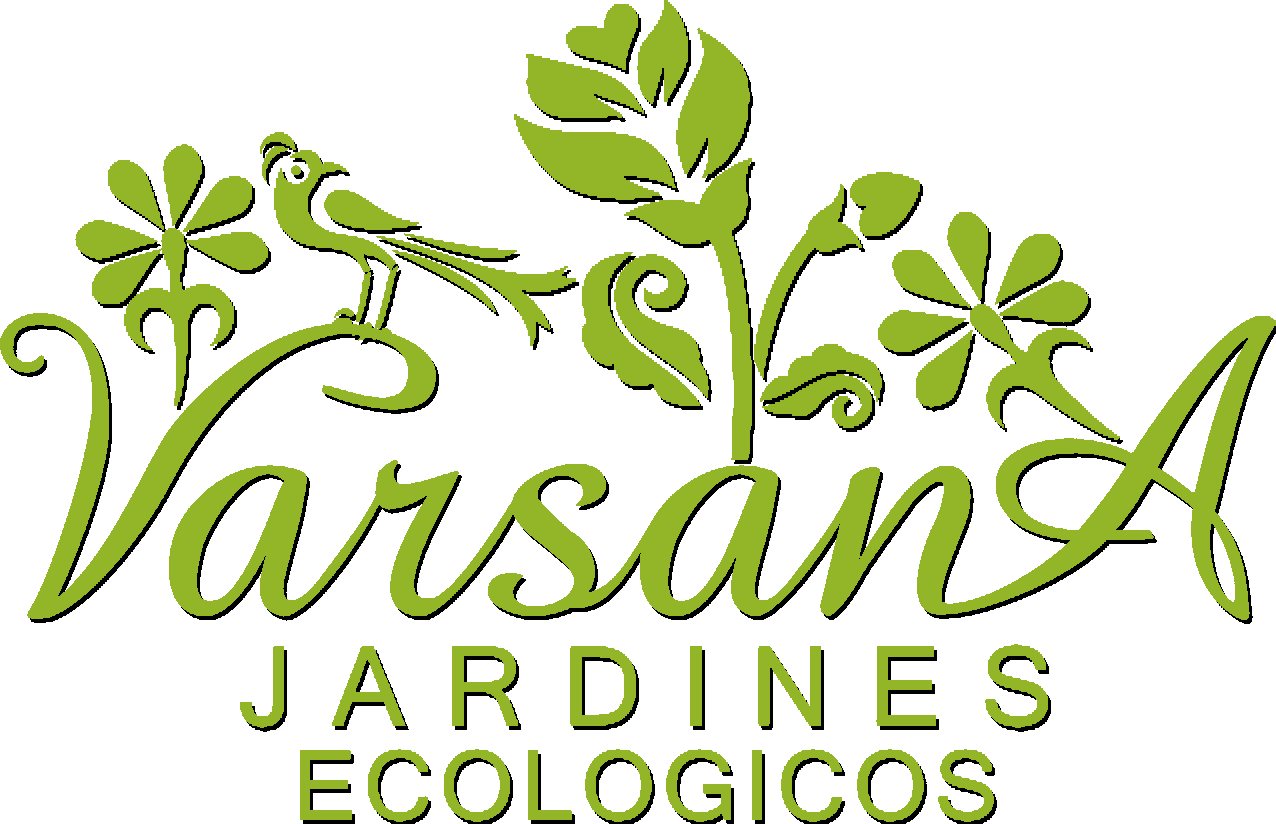 Imágenes integradas 6