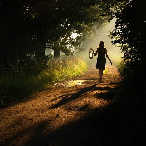 [pl+Photo+Girl+In+Forest+With+Lantern.jpg]