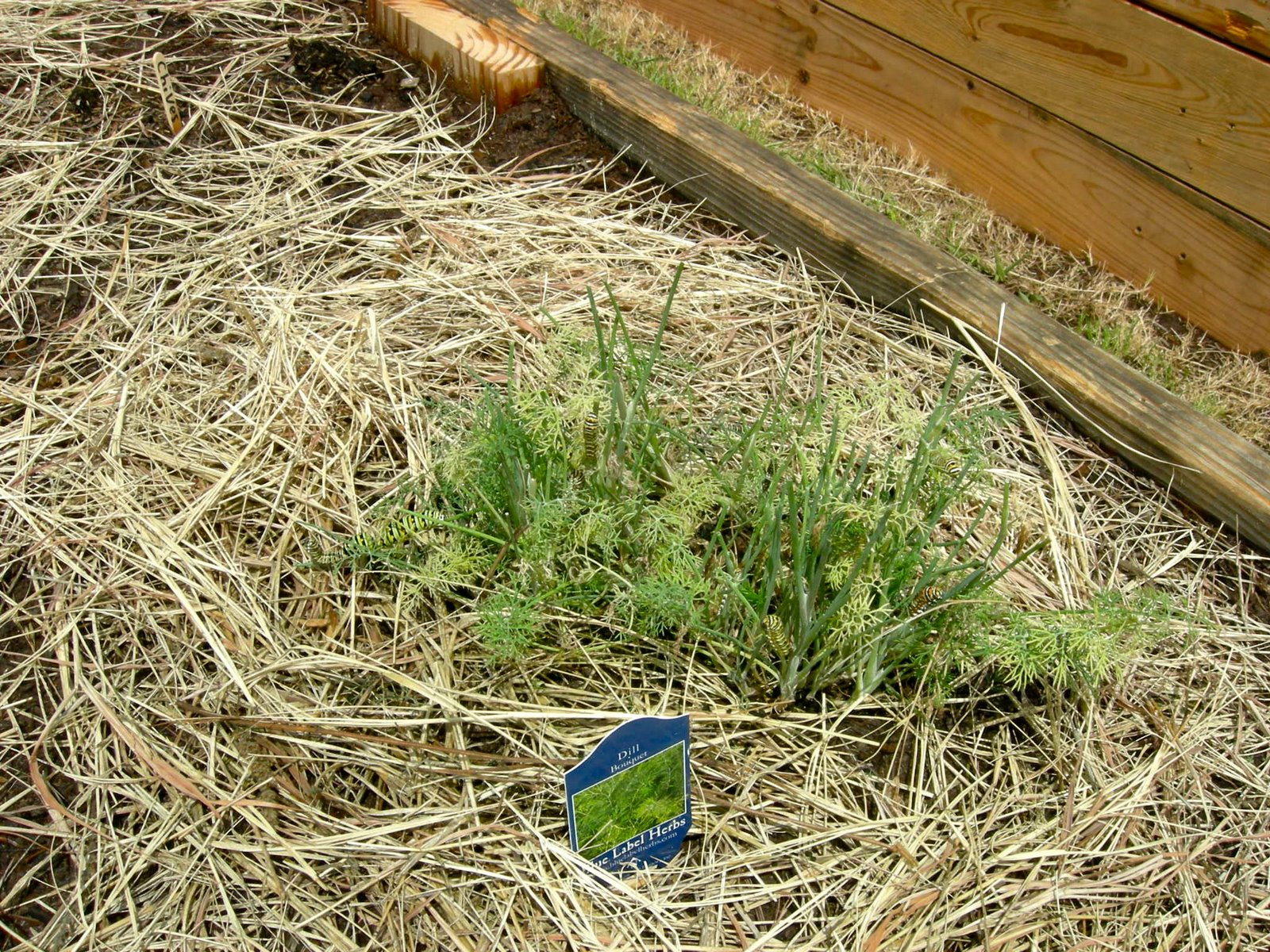 [DSCN4001.JPG]