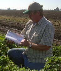 Tom Wagner in the potato field