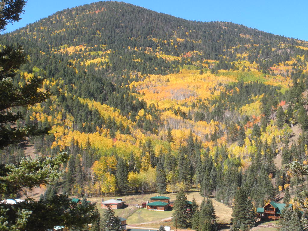 NewsChannel 10 Viewer Weather Pics Fall Colors in Red River, NM