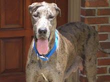 Kinsley out front of her home