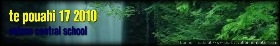 Te Pouahi 17 2010.  KIA TORO-KIA MOEMOEA:  WHAKAHURA!