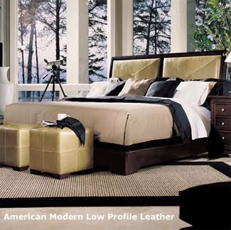 American Modern Low Profile Leather