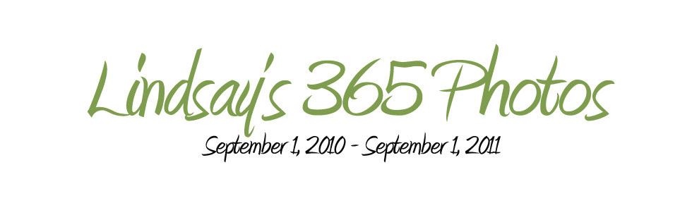 Lindsay's 365 Days