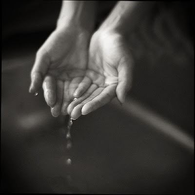 Heaven Can Wait - May All Beings Be Free From Suffering