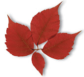 Casa Vacanze Fonte Bertusi