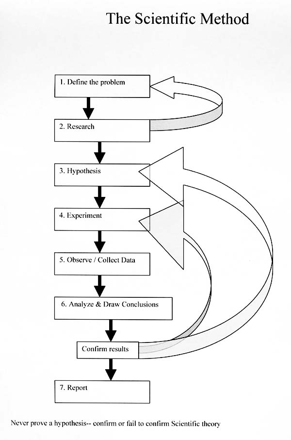 Visual Culture and Evolution: An Online Discussion: 4/9 ...