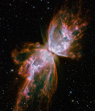 space butterfly