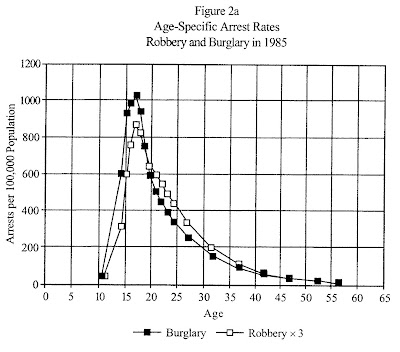 age+crime+curve.bmp