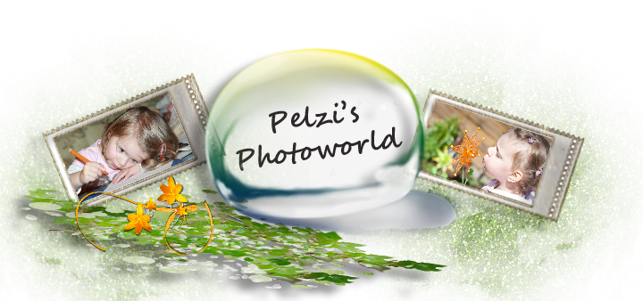pelzi' s Photoworld