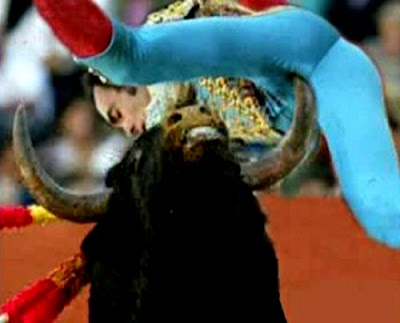 bull-matador.jpg