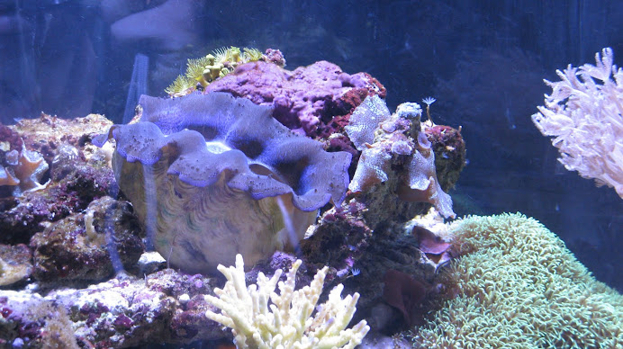 The hubbys addiction