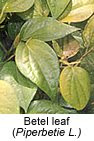 betel leaf cure Mouth Sores