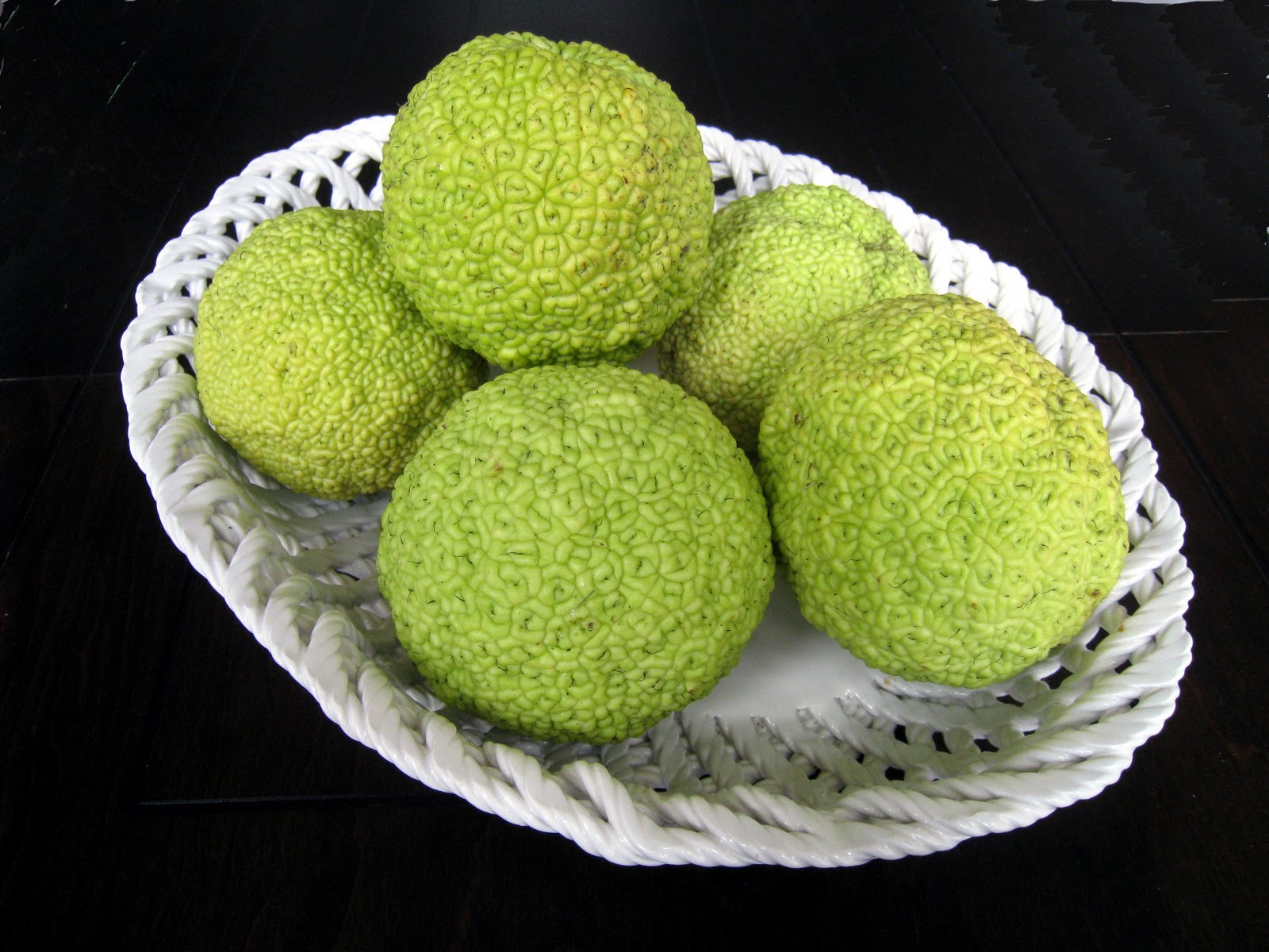 Moments of Delight...Anne Reeves Osage Oranges