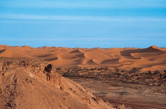 Desierto Desierto