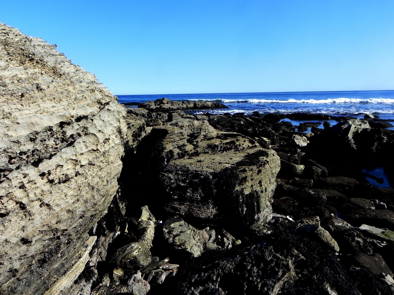 Light Impressions San Pedro Tide pools