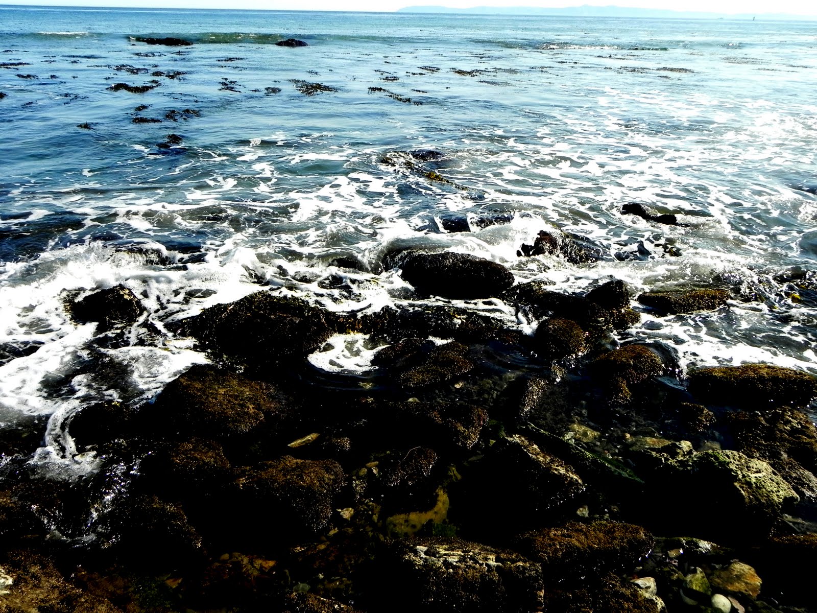 Light Impressions San Pedro Tide pools