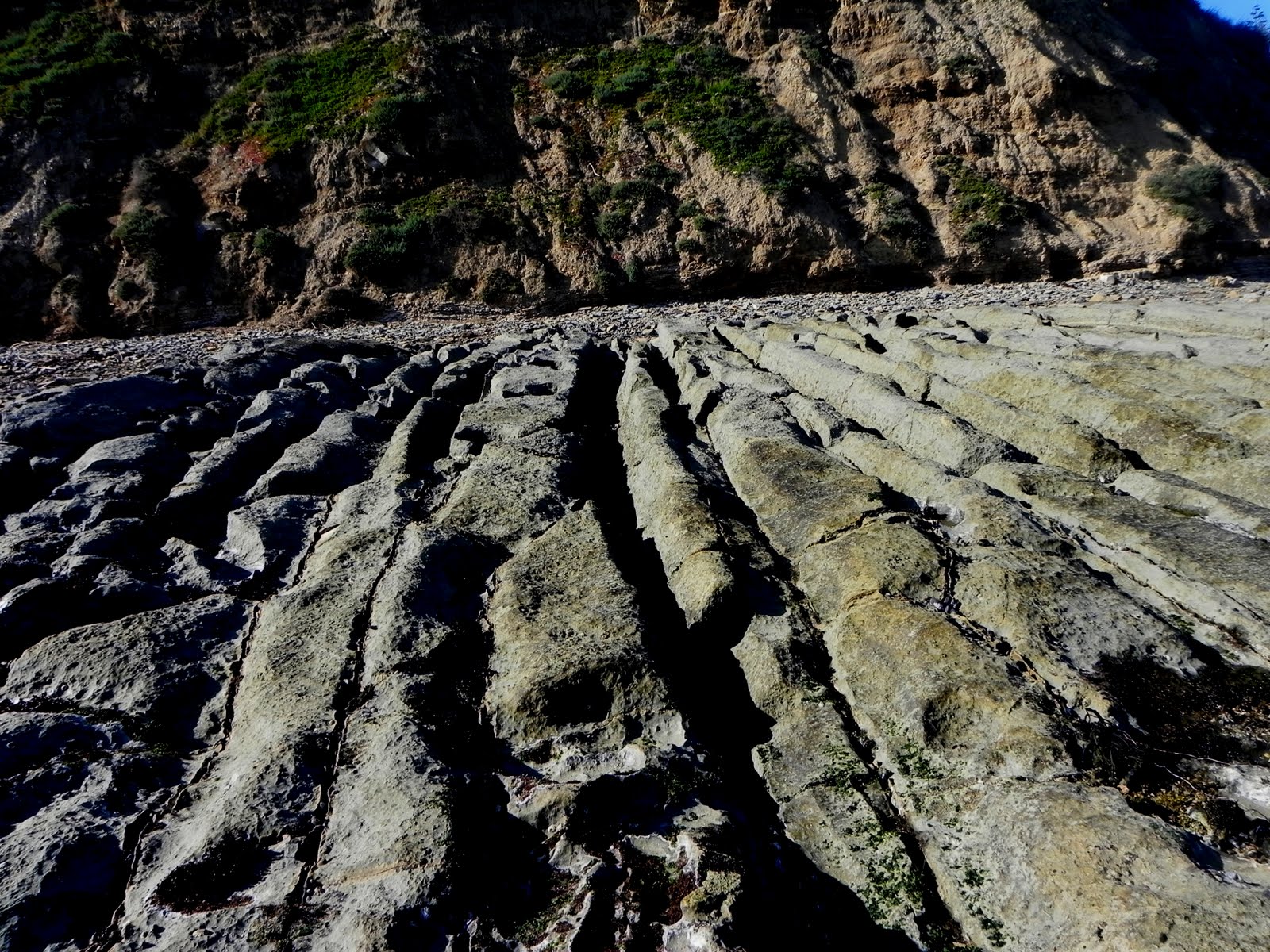 Light Impressions San Pedro Tide pools