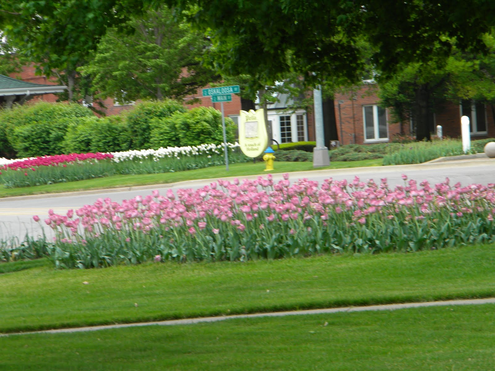 Marcia's Mumblings Pella, Iowa