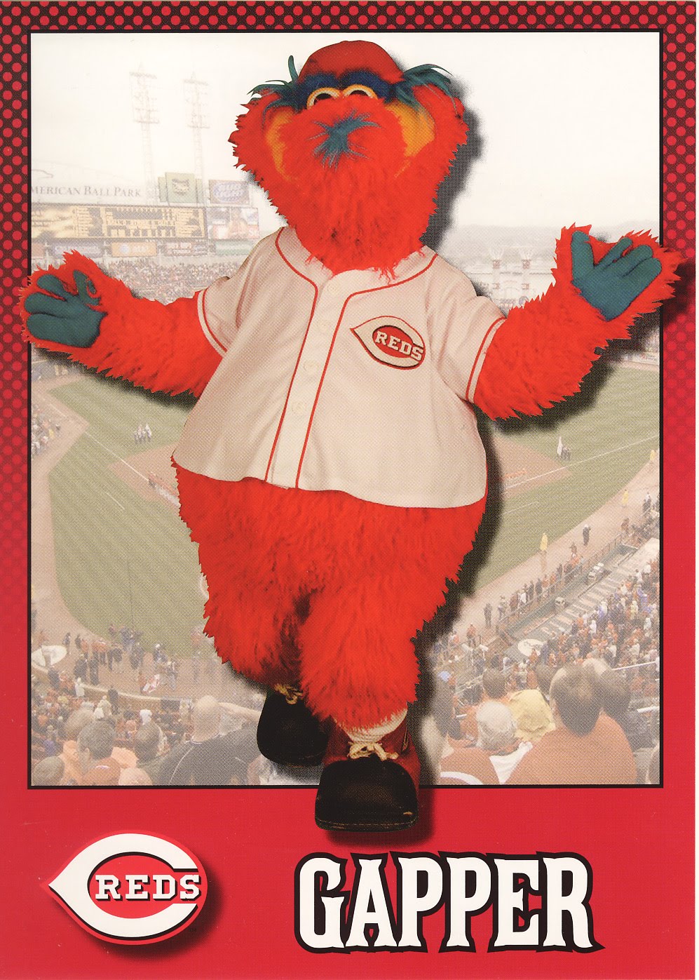 Can't Have Too Many Cards Fan Pack Fun Cincinnati Reds