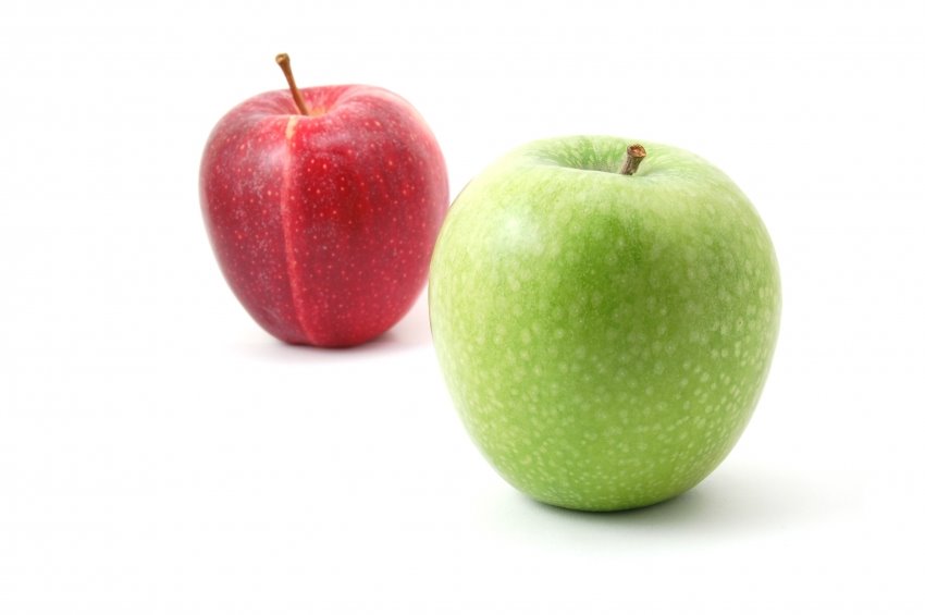 [stockxpertcom_id20829501_jpg_44491452e1833a951e2f1fc3f4caed60.jpg]