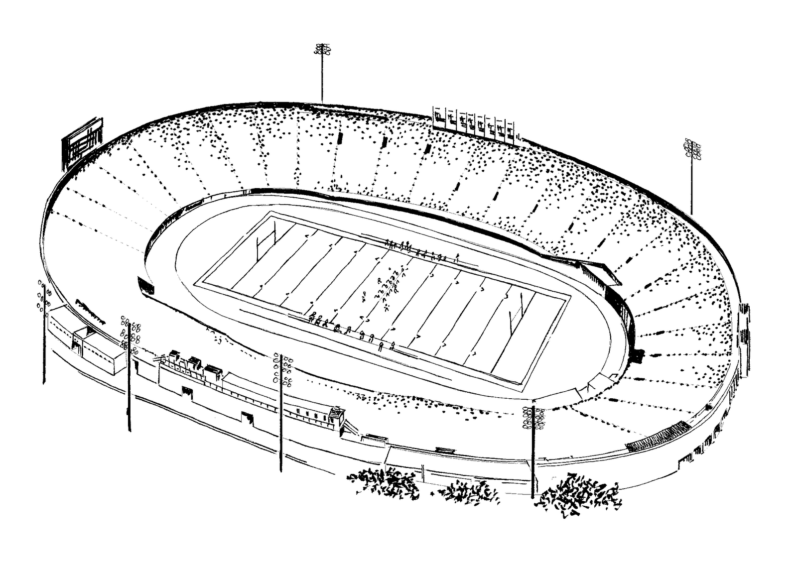 panther stadium coloring pages - photo #7