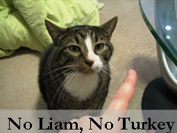 [Turkey3.bmp]