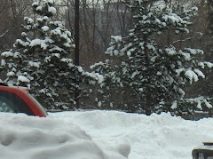 January snow 2009