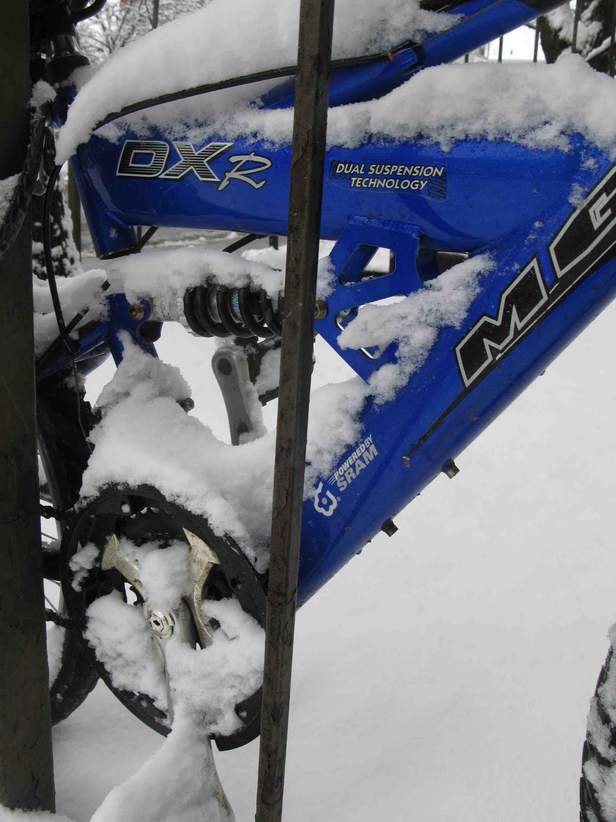 [Snow+Goose+out+3.jpg]