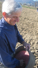 En Josep de Pratdesaba sembrant a mà el blat