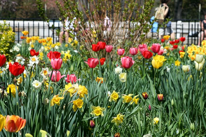 [IMG_8868.JPG]