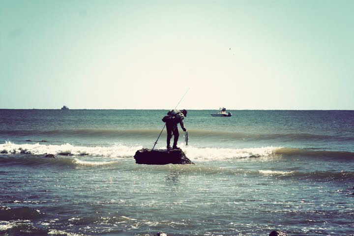 [IMG_1499.JPG]