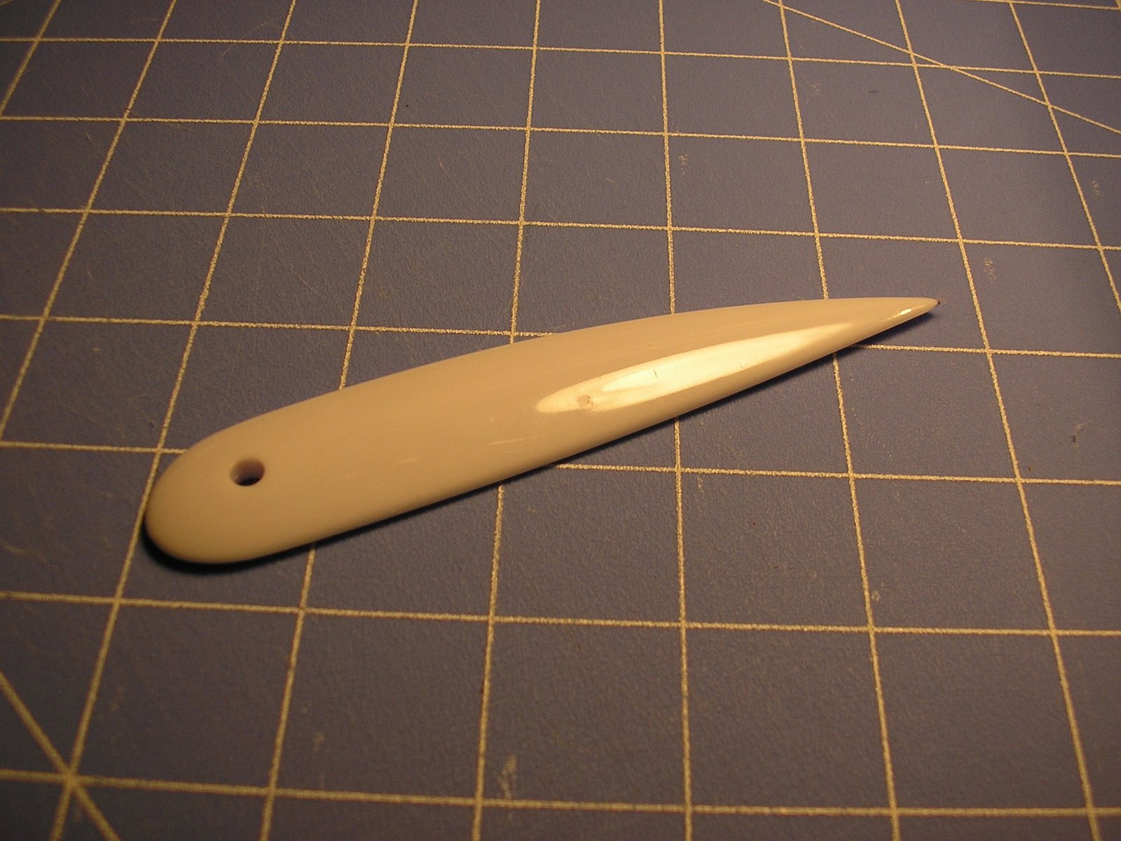 [PC300086.JPG]