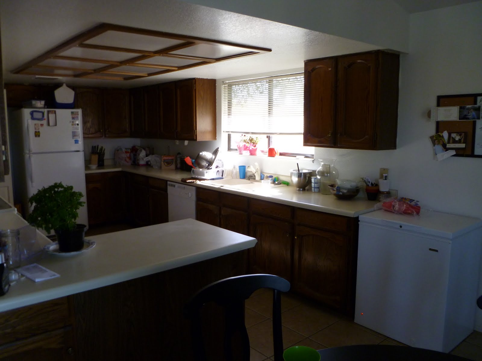 LDS Singles Homes in Tempe & Mesa Diamond HouseMesaGirls